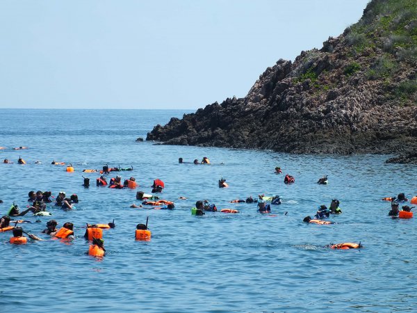 ดำน้ำชมปะการัง เกาะทะลุ