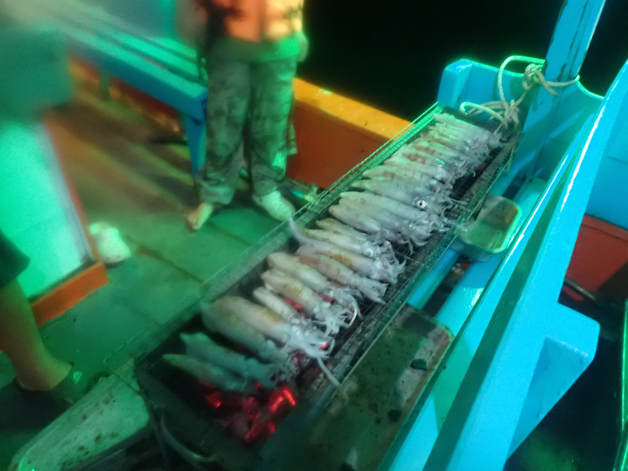 ตกหมึกกลางคืน หมึกสดจากทะเลบางสะพาน