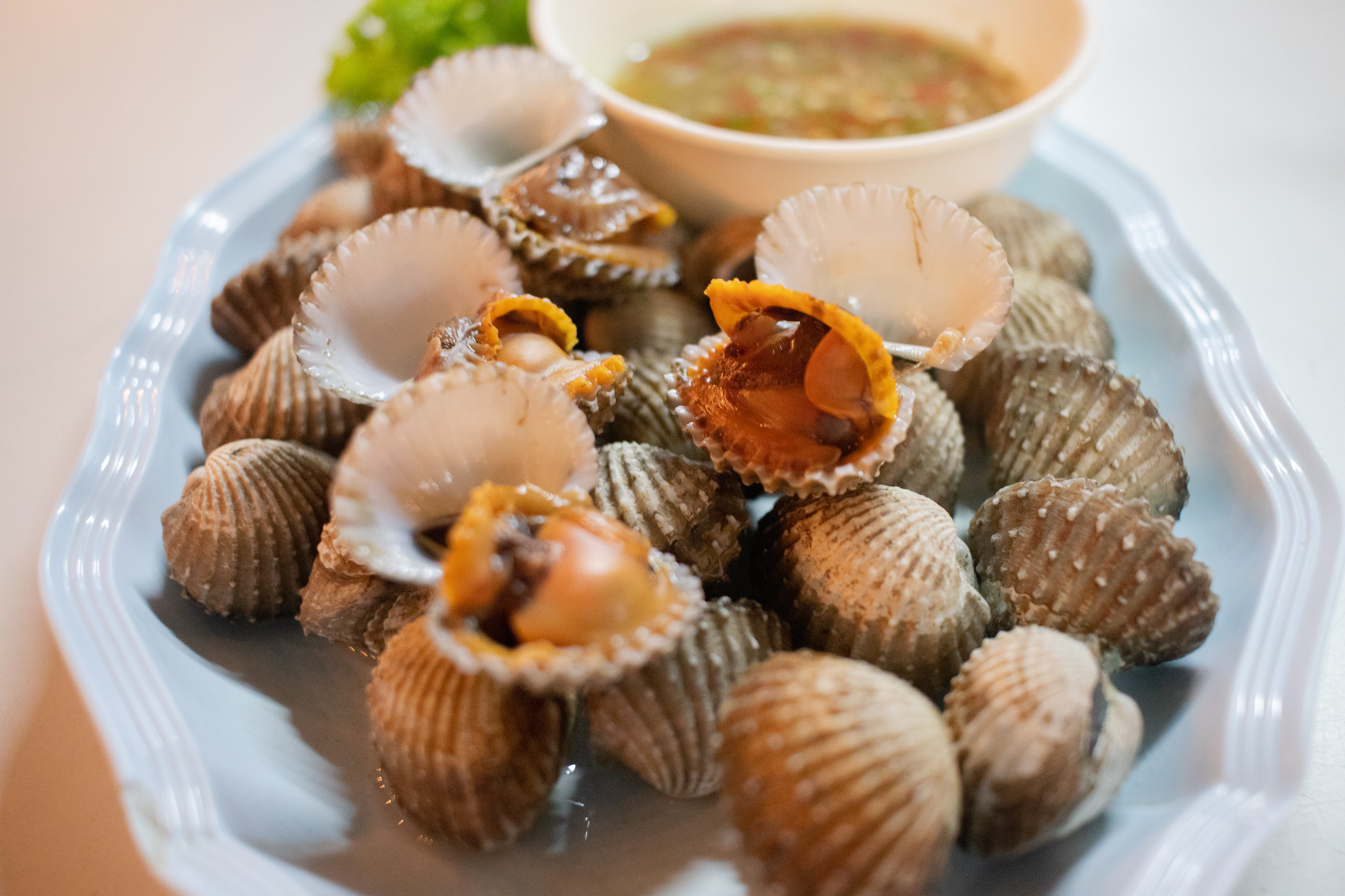 หอยแครงสด อาหารทะเล