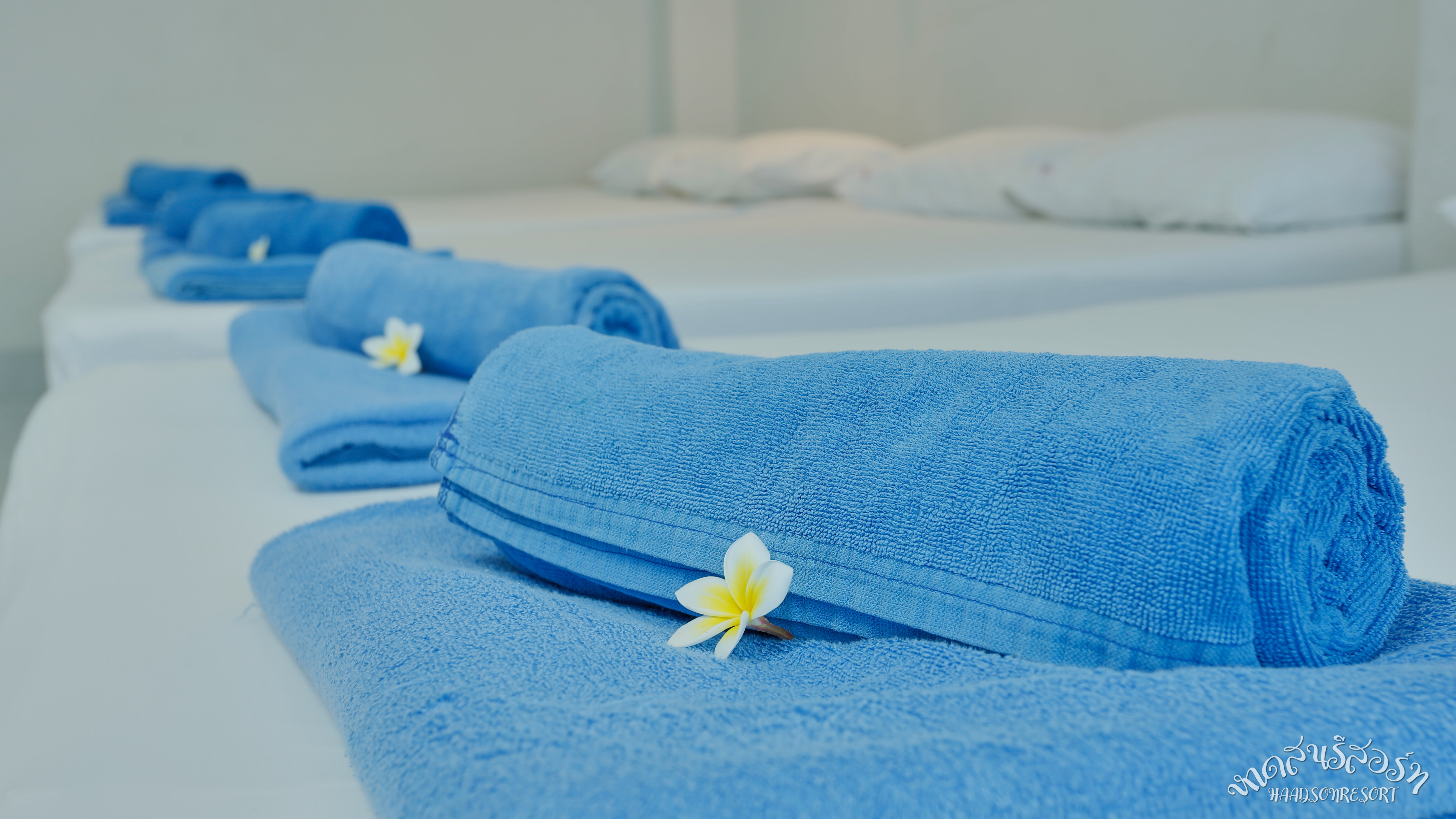 Family Room ผ้าขนหนูสีฟ้า ดอกลีลาวดี