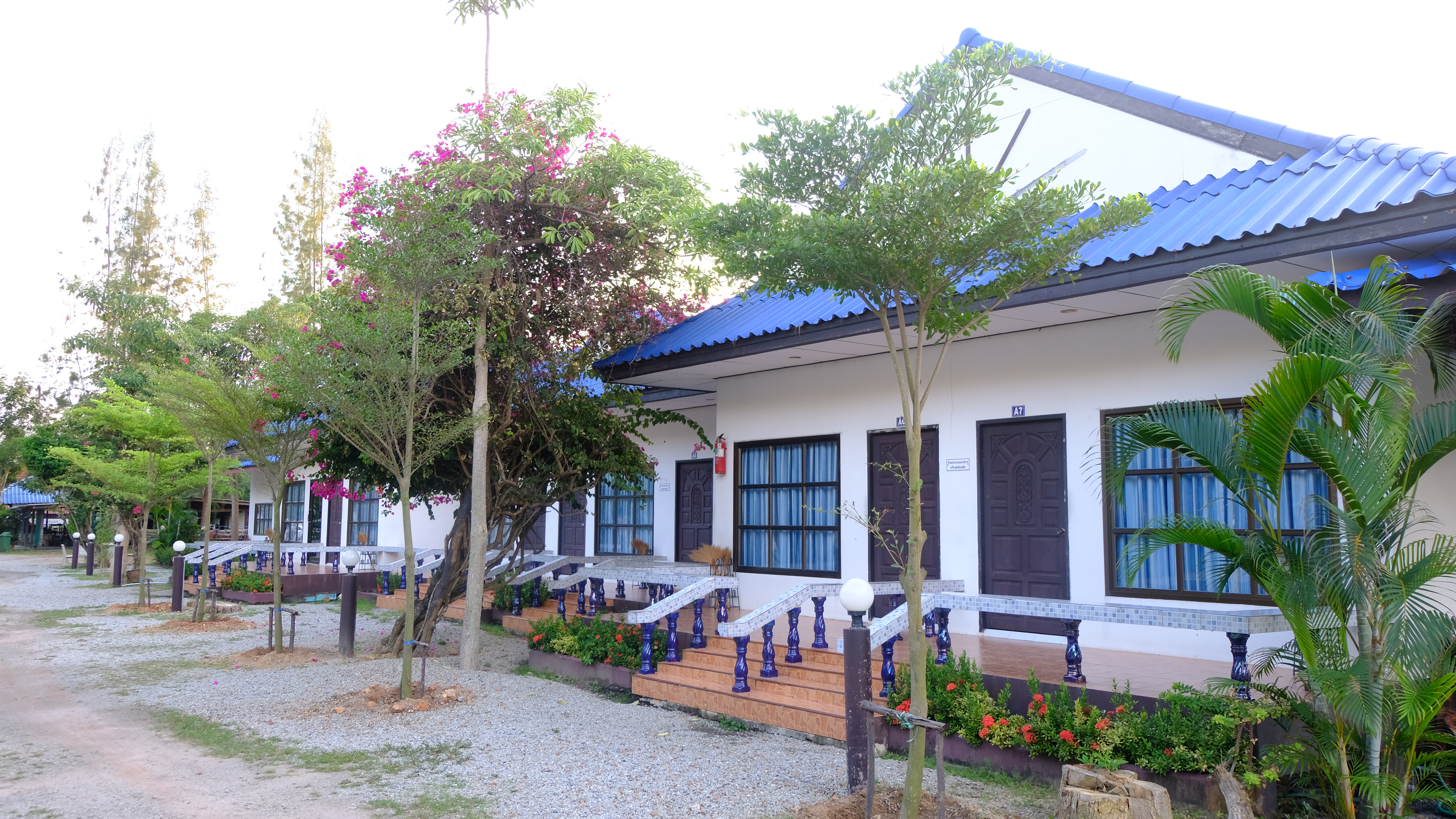 Standard Room exterior หน้าห้อง สวนดอกไม้